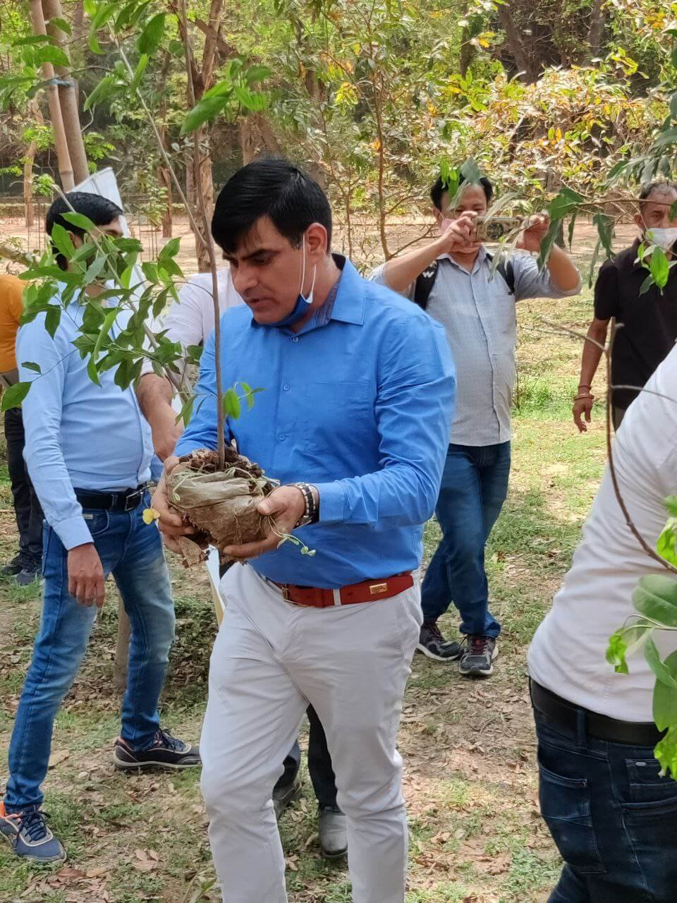 Harela foundation